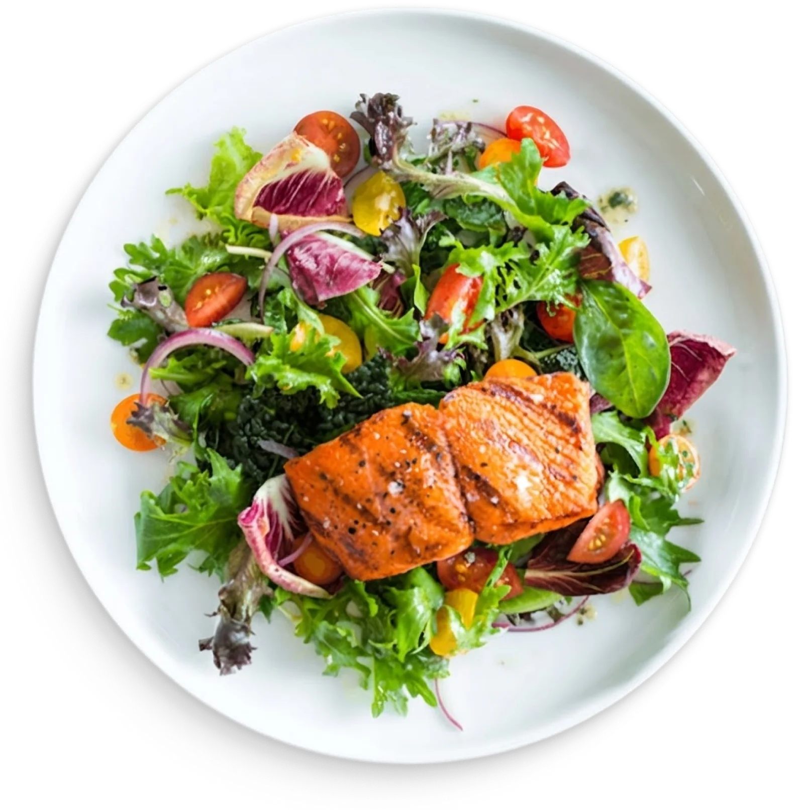 Salmon salad bowl